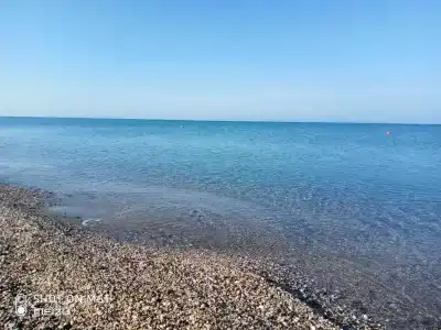 Зефир - 9