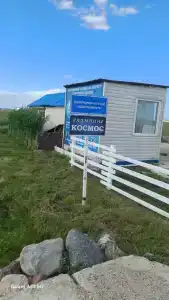 Космос - 21