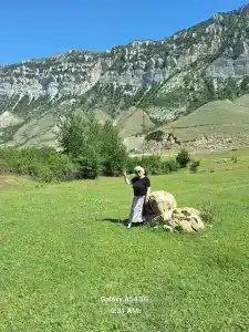 Джумейра - 54