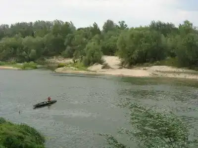 у Резника - 1