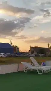 Каштан - 20