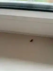 Островок - 24