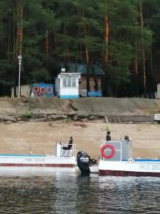 Сосенки на Волге - 8