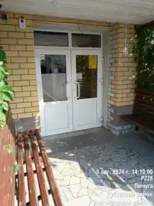 Пичуга - 9