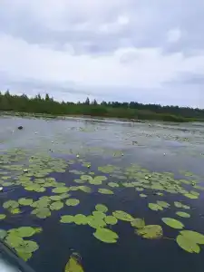 Тишина - 10