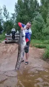 Щеберино - 2
