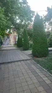Горное Вдохновение - 29