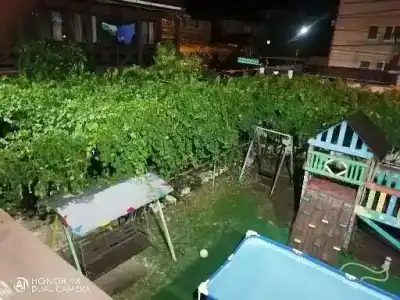 Можжевеловый дворик - 11