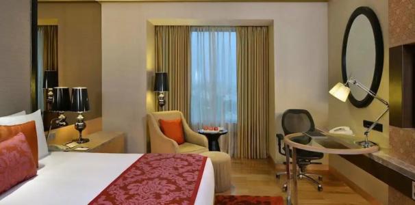 Radisson Blu Jaipur - 43