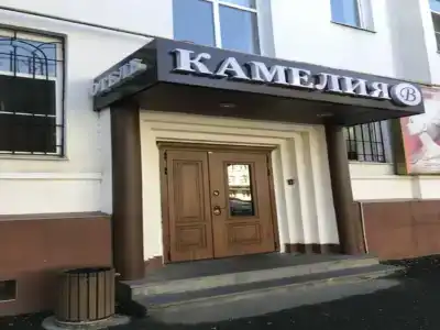 Камелия - 0