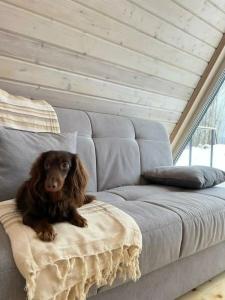 Зайкина дача - 27