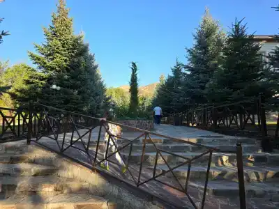 Layner Complex - 20