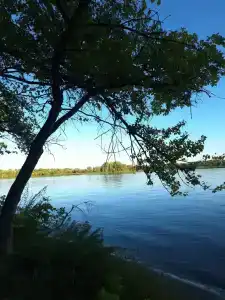 Оц Луч - 11