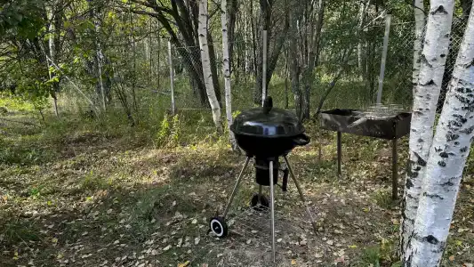 Чилим - 12