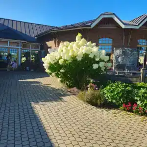 Ладожская Усадьба - 71