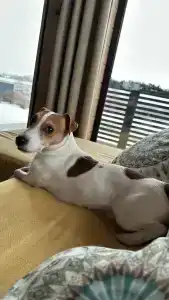 Отдых у реки - 47