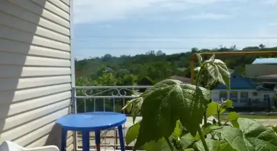 Маргарита - 61