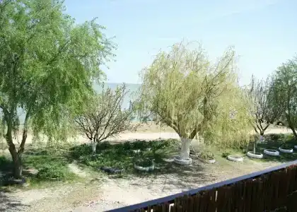 Фантазия - 2