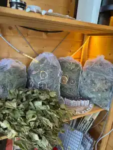 Лесной Привал - 77