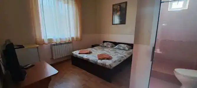 Алиса - 20