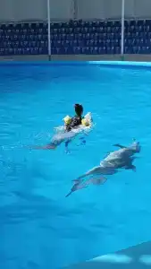 На ладони - 2