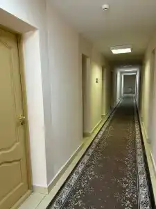 Беловежская пуща. №2 - 31