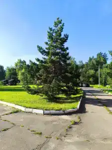 Зорина - 17