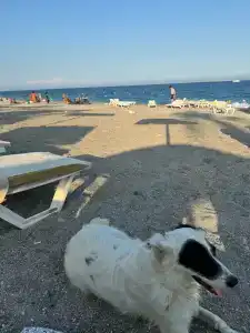 İstanbul Beach - 59