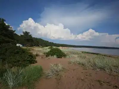 Бухта желтая - 31