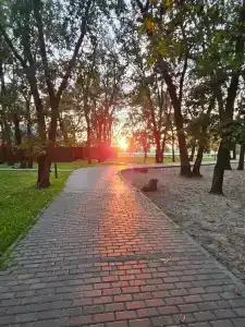 Дубрава - 4