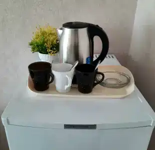 Электра Холидей - 54