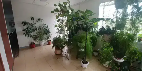 Силькари - 7