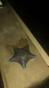Солнечный ветер - 24