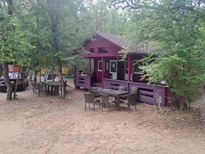 Эколоджия - 26