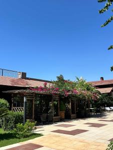 Club Felicia Village - 44