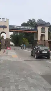 Беловежская пуща. №2 - 14