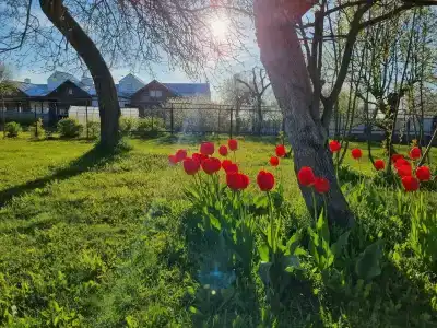 Александровский - 26