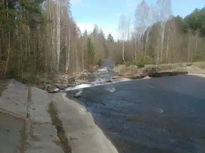 Лесная сказка - 36