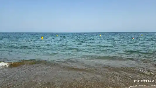 Palace Beach Resort - 49