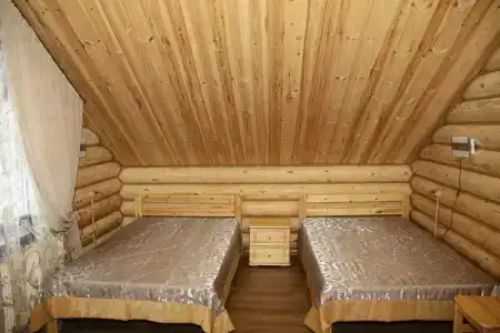 Зеленый Бор - 3