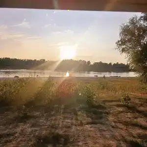 Лес и Рыба - 20