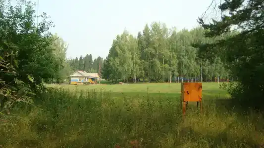 Ласточка - 6