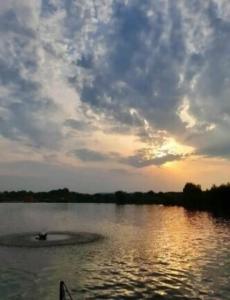 Монахов пруд - 96