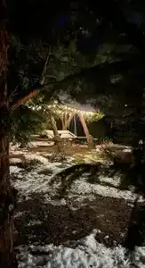 Медвежье урочище - 76