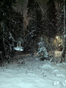 Iskra Hostel - 39