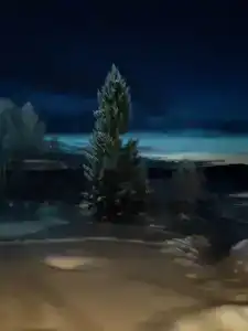 Гольфстрим - 84