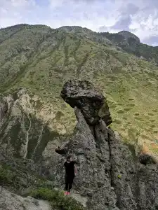 Каменные грибы - 13