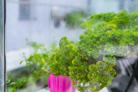 Mercure Krakow Stare Miasto - 77