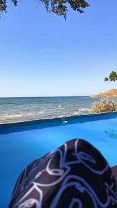 Амбассадор - 44