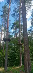 Бивер ресорт - 22